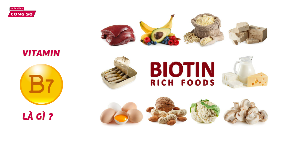 VITAMIN B7 LÀ GÌ ?